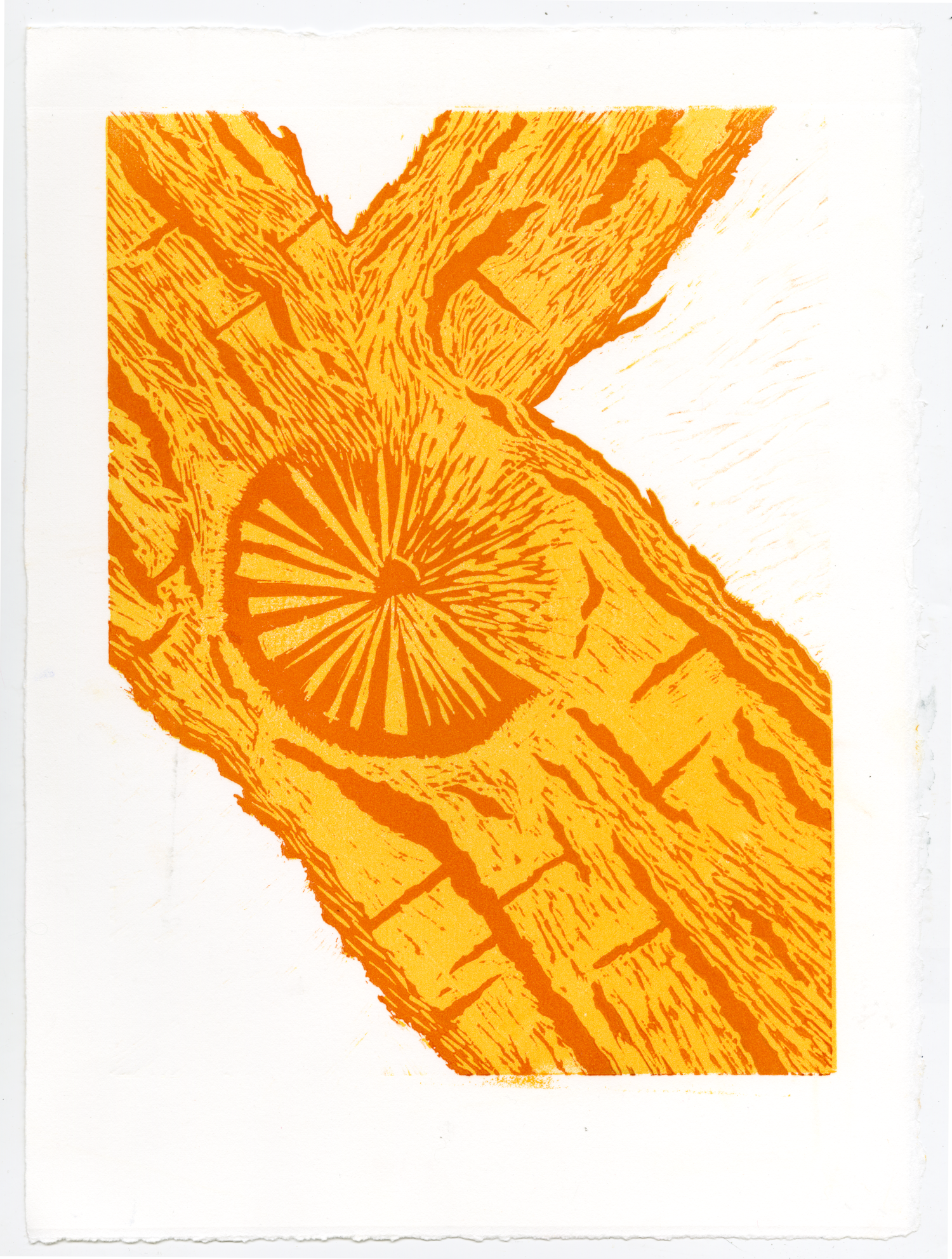 yellow and orange linoleum block print of a tree branching with a burl in the center.